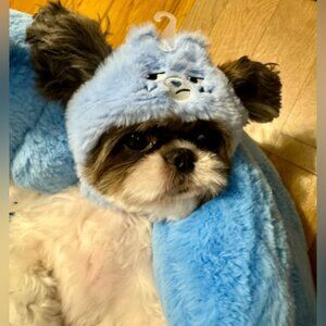 Grumpy Care Bear. Care Bears . Famous MINISO product. Cute hat for